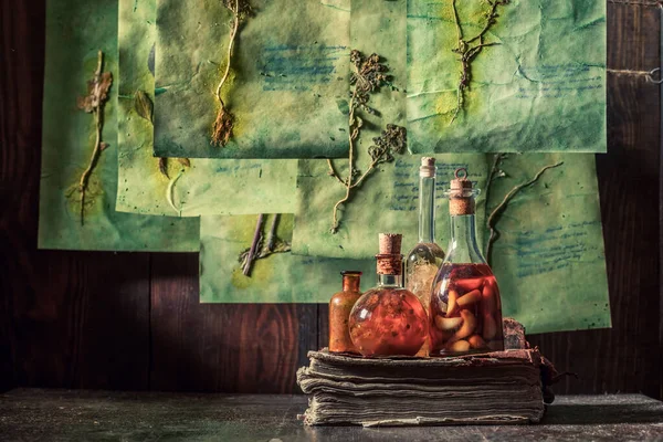 Creepy herbalist workshop with dried herbs and flowers — ストック写真