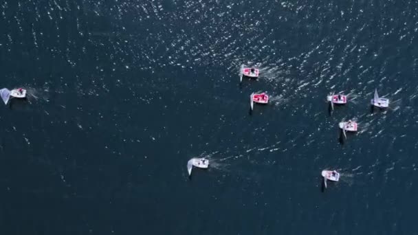 Κάτοψη ιστιοπλοϊκών σκαφών στη λίμνη κατά τη διάρκεια του διαγωνισμού — Αρχείο Βίντεο