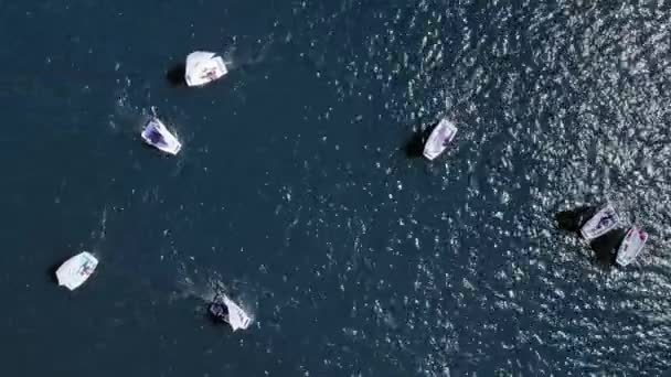 Blick von oben auf die Regatta der kleinen Boote auf dem See — Stockvideo