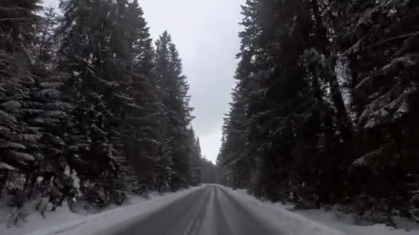 Car driving through snowy road in forest — Stock Video
