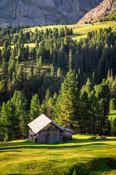 Wooden old cottage in forest, Passo delle Erbe, Dolomites — Stock Photo, Image