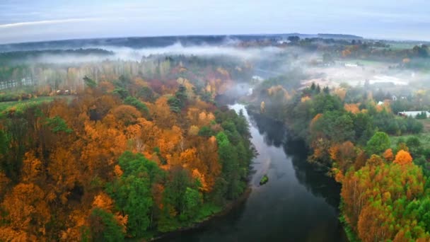 Nebeliger Sonnenaufgang am Fluss im Herbst, Luftaufnahme — Stockvideo