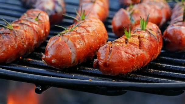 Closeup of tasty sausage on grill with spices and herbs — Stockvideo