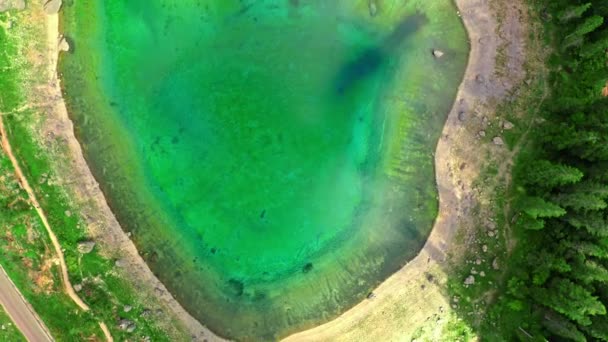 Vista de arriba hacia abajo al lago de montaña Carezza, Dolomitas, Italia — Vídeo de stock