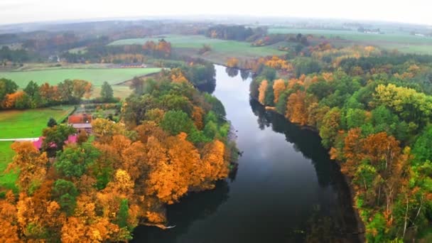 Sonbaharda nehir ve ormanın hava manzarası, Polonya — Stok video