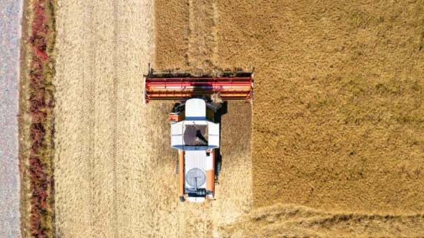 Vista dall'alto della mietitrice che lavora sul campo in Polonia, Europa — Video Stock