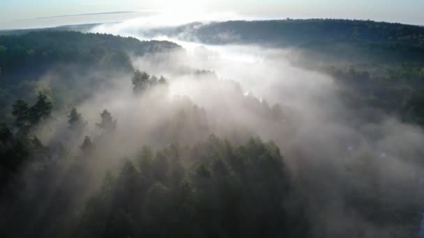 Vista aérea de niebla con rayos de sol al amanecer — Vídeos de Stock