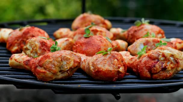 Färska och välsmakande kycklingben med kryddor på grillen — Stockvideo