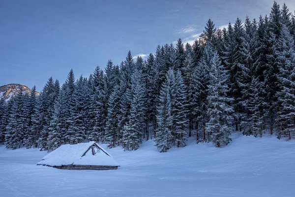 Maravilhosa Casa Campo Madeira Montanha Tatra Polônia — Fotografia de Stock