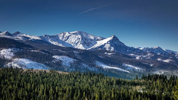 Blå Himmel Snöiga Berg Och Grön Skog Tatras — Stockfoto