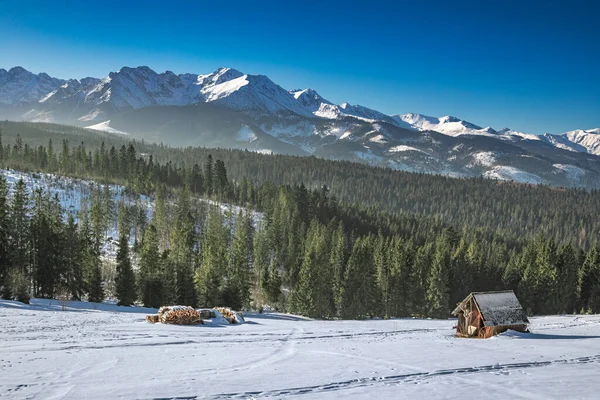 Superbe Chalet Bois Dans Montagne Tatra Pologne — Photo