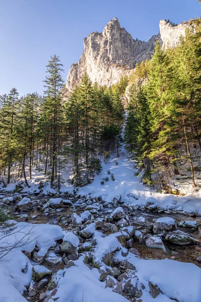 Koscieliska Vadisi Nde Kışın Inanılmaz Donmuş Dere Orman — Stok fotoğraf