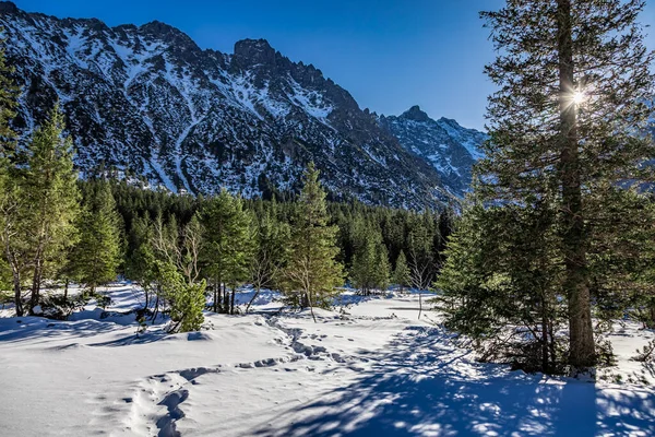 Vue Sur Les Montagnes Tatra Depuis Étang Aux Yeux Poisson — Photo