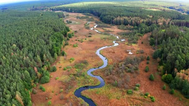 Luftaufnahme von Fluss, Sümpfen und Wald im Herbst, Polen — Stockvideo
