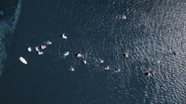 Blick von oben auf die Regatta der Boote auf dem See — Stockvideo