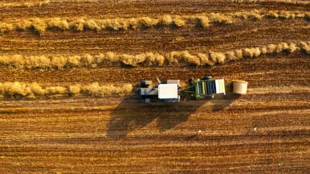 Vista dall'alto del trattore con rotopressa su campi dorati — Video Stock