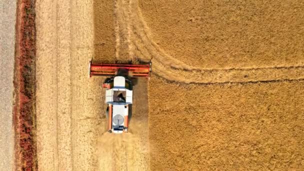 Vista superior da colheitadeira trabalhando no campo dourado, vista aérea — Vídeo de Stock