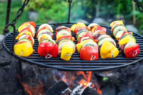 Spicy Skewers Grill Meat Vegetables — Stock Photo, Image