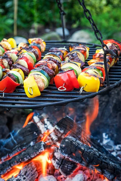 Brochetas Hechas Verduras Parrilla Con Día Soleado — Foto de Stock