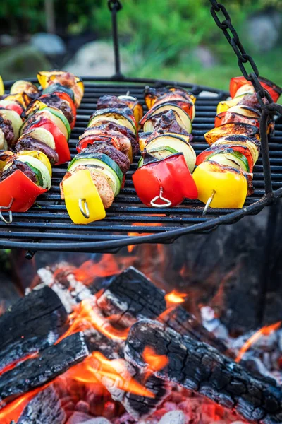 Closeup Skewers Meat Vegetables Hot Grill — Stock Photo, Image