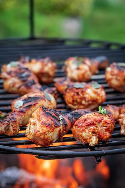 Spicy Tasty Grilled Chicken Leg Hot Grill — Stock Photo, Image