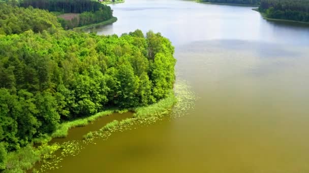 Kwitnące algi na jeziorze latem, widok z lotu ptaka — Wideo stockowe