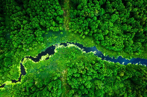 Algas Florescentes Incríveis Rio Voando Acima — Fotografia de Stock