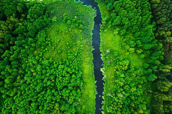 Blick Von Oben Auf Blühende Algen Auf Dem See — Stockfoto