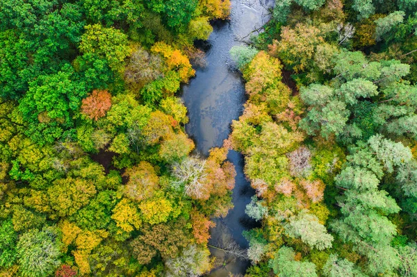 Top View Forest River Autumn Aerial View — Stock Photo, Image