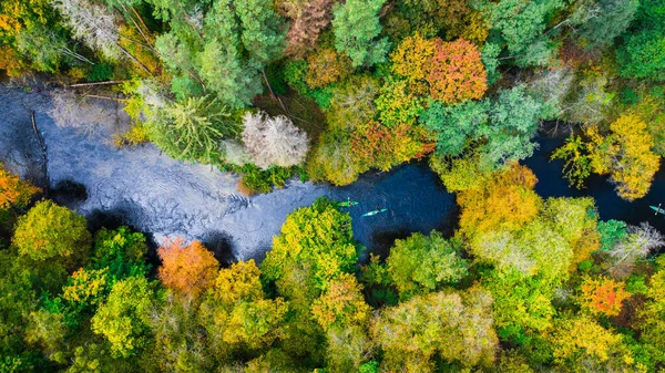 Splendida Vista Sul Kayak Sul Fiume Vicino Alla Foresta Autunnale — Foto Stock