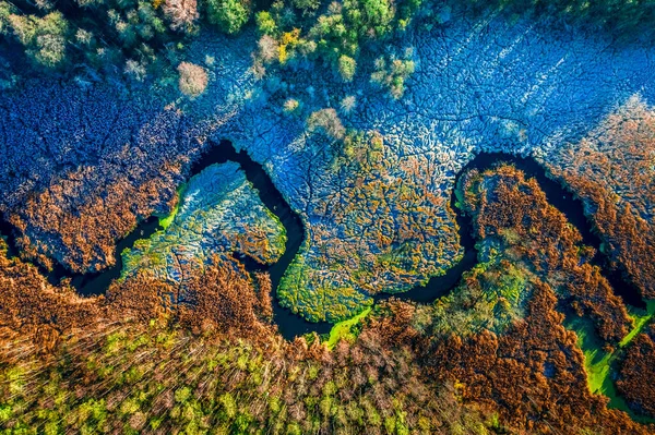 Aerial View Frozen Swamps Autumn — Stock Photo, Image