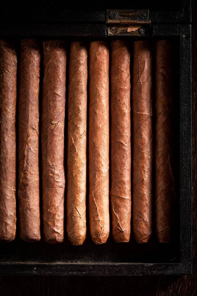 Ovanifrån Cigarrer Gammalt Trä Humidor — Stockfoto