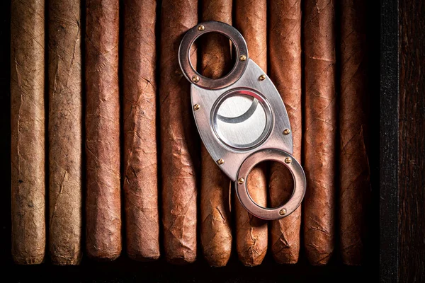 Stacked Neatly Cigars Metal Cutter Humidor — Stock Photo, Image