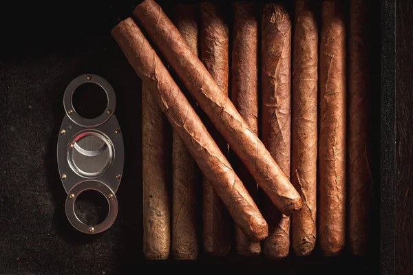 Bovenaanzicht Van Sigaren Met Metaalsnijder Humidor — Stockfoto