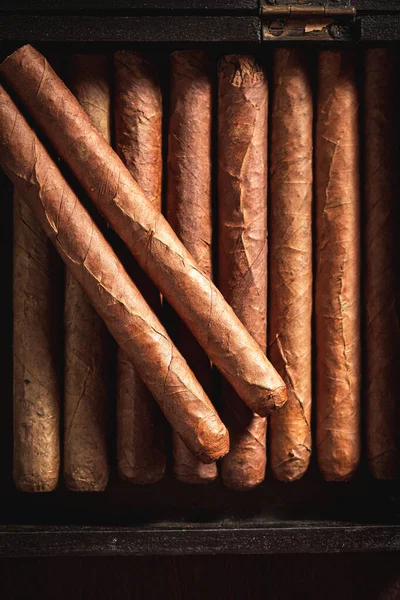 Vista Superior Cigarros Yacen Humidor Madera — Foto de Stock