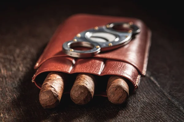 Closeup Three Cigars Leather Container — Stock Photo, Image
