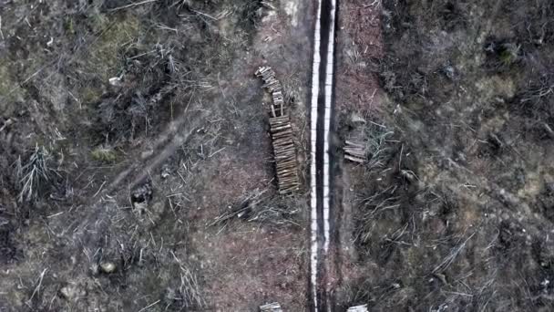 Vit väg i förstörd skog efter en orkan, flygfoto — Stockvideo