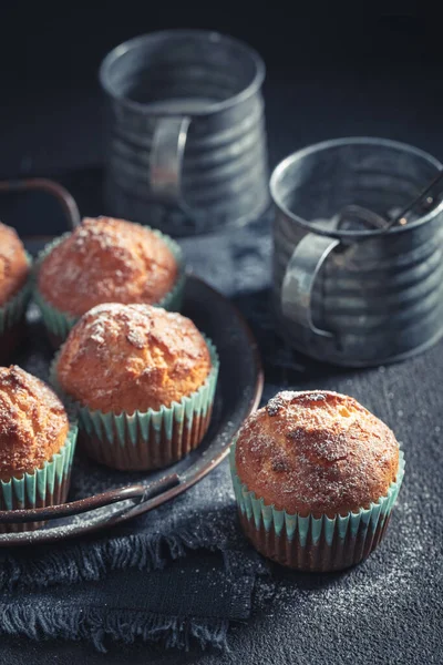 Malé Čerstvé Jogurtové Muffiny Práškovým Cukrem — Stock fotografie