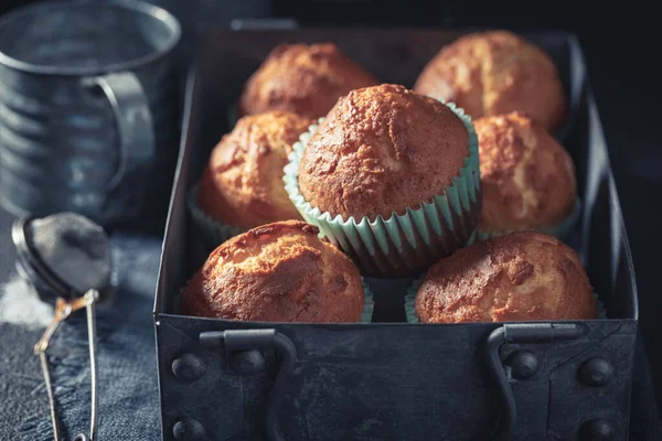 Muffins Yaourt Sucrés Chauds Sucre Poudre — Photo