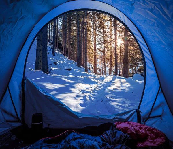 冬のテントから雪の森への眺め — ストック写真