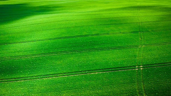 Aerial View Green Field Spring Poland — Stock Photo, Image