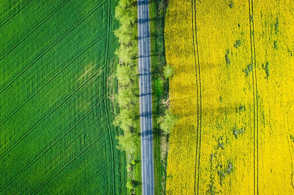 Vista Superior Dos Campos Colza Amarelo Verde Polónia — Fotografia de Stock