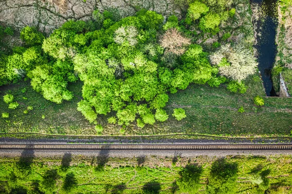 Floresta Verde Rio Polónia Vista Aérea — Fotografia de Stock