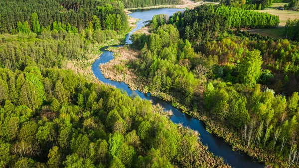 夏の緑の森と川の空中風景 — ストック写真