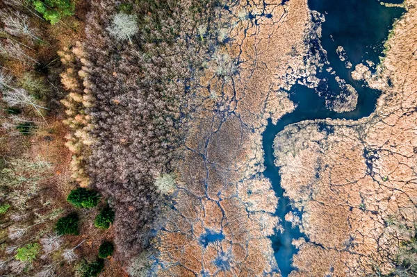 Pequeño Río Pantanos Marrones Vista Desde Dron —  Fotos de Stock