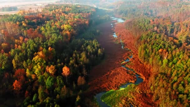 Коричневі болота і річка восени на сході сонця, вид з повітря — стокове відео