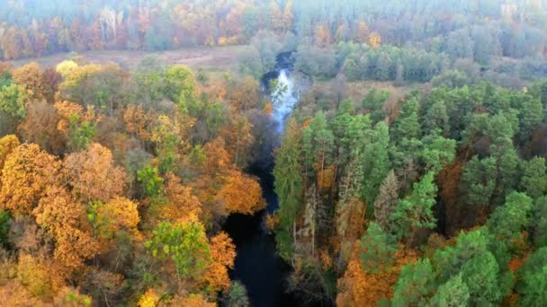 Widok z lotu ptaka na rzekę i żółty las jesienny, Polska — Wideo stockowe