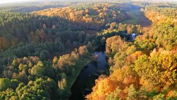 Річка і барвистий ліс восени на сході сонця, вид з повітря — стокове відео