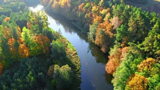 Bos en rivier bij zonsopgang in de herfst, vanuit de lucht, Polen — Stockvideo