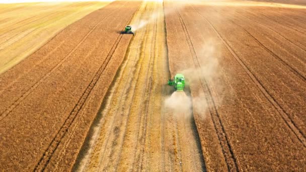 Twee oogstmachines die werken op tarweveld, vanuit de lucht bekeken — Stockvideo